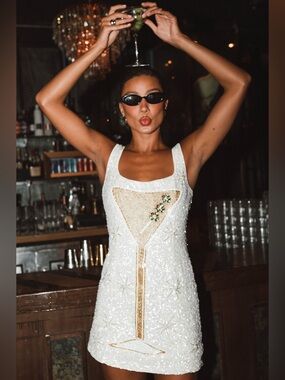 Show me your mumu let’s go mini dress